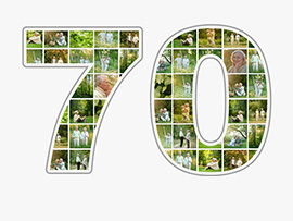 foto collage getal 70e verjaardag