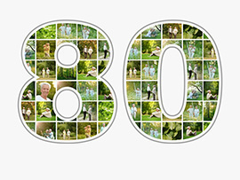 foto collage getal 80e verjaardag