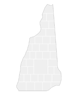 Collage sjabloon in vorm van een New Hampshire-kaart